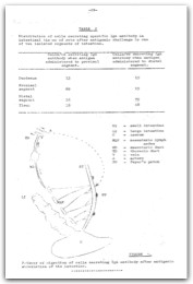 1977 page 29